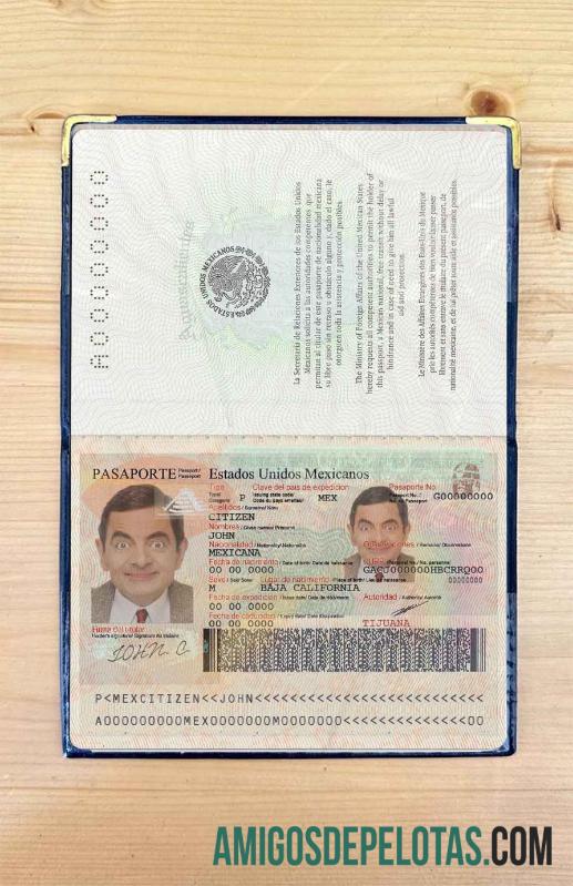 Foto do passaporte do México exemplo